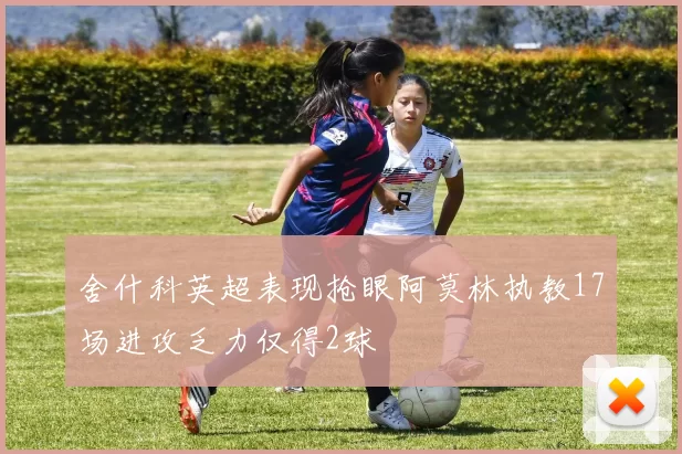 舍什科英超表现抢眼阿莫林执教17场进攻乏力仅得2球