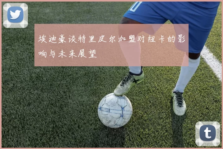 埃迪豪谈特里皮尔加盟对纽卡的影响与未来展望